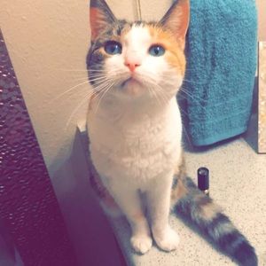 Meet your Posher, Mitchell